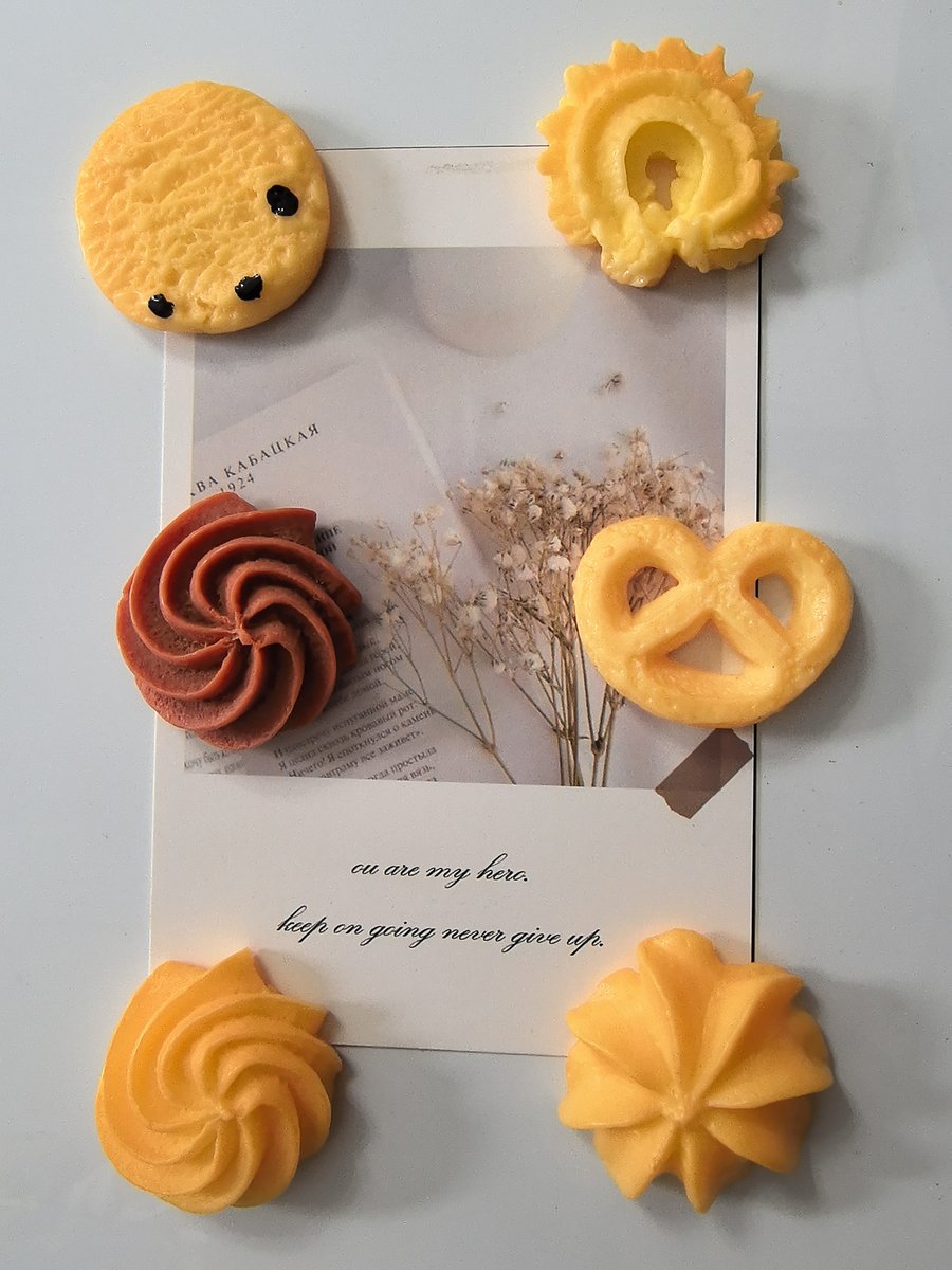 Resin cookie fridge magnet set, realistic dessert designs